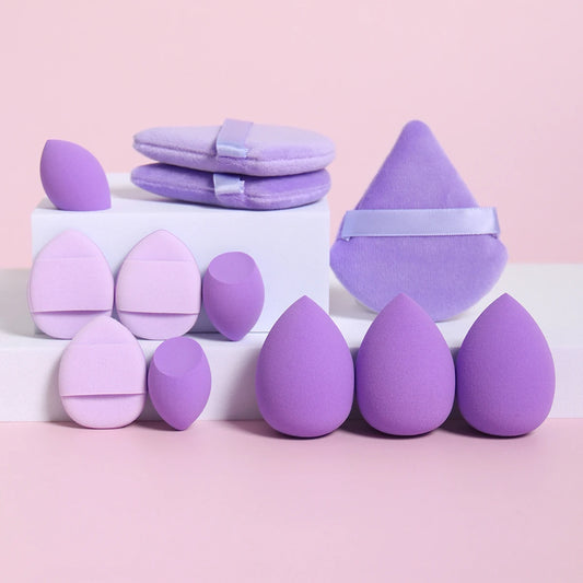 BlendMaster 12-in-1 Pro Sponge Set